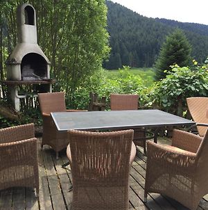 Magnificent Holiday Home In Reinerzau With Sauna Alpirsbach Exterior photo