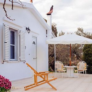 Entire House With Garden, 70M From The Beach. Γαλατάς Exterior photo