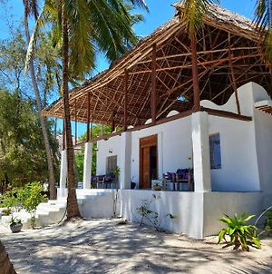 Blue Palm Zanzibar Bed and Breakfast Bwejuu Exterior photo