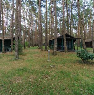 Urlaub Im Bungalow Mitten Im Wald Ξενοδοχείο Lutow Exterior photo