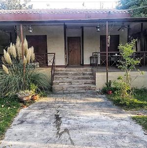 Beautiful 3 Bedroom House In Halkidiki Relax! Νέα Ηράκλεια Exterior photo