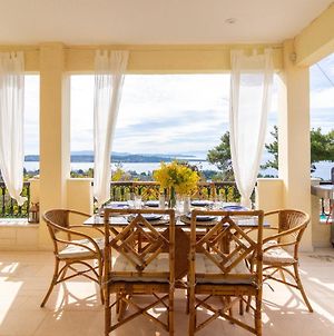 House With Amazing Ocean View And Patio - Pool Βίλα Πόρτο Χέλι Exterior photo