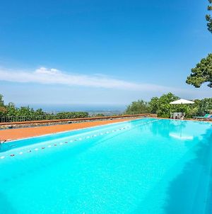 Awesome Home In Camaiore Lu With 2 Bedrooms And Outdoor Swimming Pool Corsanico-Bargecchia Exterior photo