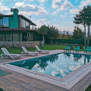 Fascinating Villa With Private Pool In The Heart Of Nature In Sapanca Επαρχία Σαγγάριου Exterior photo