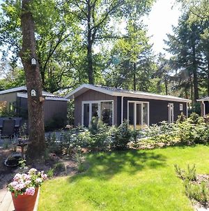 Luxurious Chalet With A Deck, In A Holiday Park In The Middle Of The Veluwe Hoenderloo Exterior photo