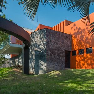 Casa Ave Del Risco "Casa De Autor&Luxurious Oasis" Βίλα Κολίμα Exterior photo