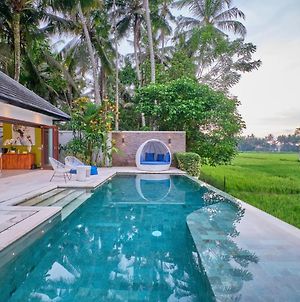 Villa Balinese Luxurious Elegance Ουμπούντ Exterior photo