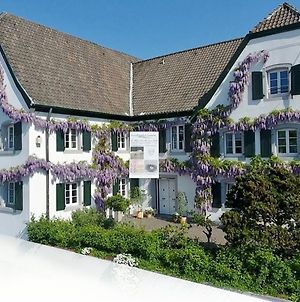 Rhein River Guesthouse - Direct On The Rhine Λεβερκούζεν Exterior photo