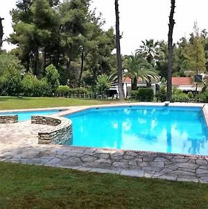 Elegant Villa Marlon With Swimming Pool Παραλία Σάνη Exterior photo