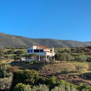 Gorgeous Private Villa With Sea View! Άνδρος Exterior photo
