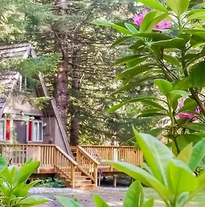 A-Frame Of Mind Retreat Διαμέρισμα Rhododendron Exterior photo