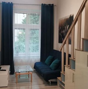 New Cosy Studio Διαμέρισμα Κάρλοβι Βάρι Exterior photo