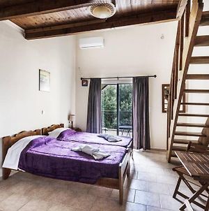 Despina Studios 4 Beds With Loft And Kitchenette # 8 Ράχες Exterior photo