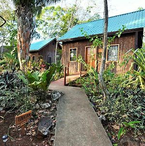 Mariposa Jungle Lodge San Ignacio Room photo