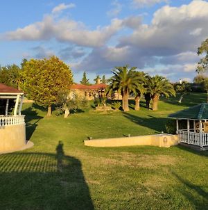 Luxury Mediterranean Villa In Sithonia Νικήτη Exterior photo