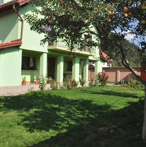 Vilman House Ξενοδοχείο Rîşnov Exterior photo