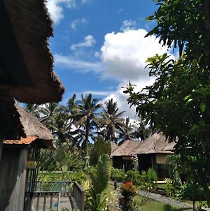 Taman Bintang Villa Ubud Exterior photo