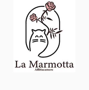 La Marmotta Ξενοδοχείο Luserna San Giovanni Exterior photo