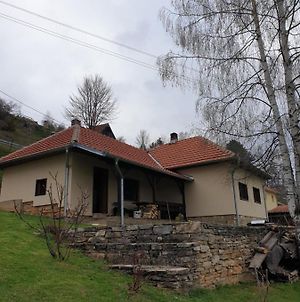 Kuca Za Odmor - Martic, Rudno, Golija Βίλα Κράλιεβο Exterior photo
