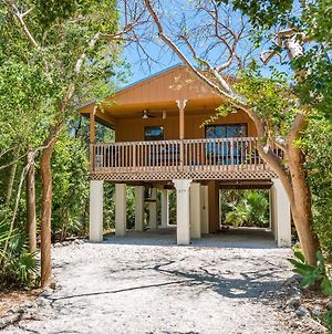 The Florida Keys Treehouse In Marathon, Fl Βίλα Exterior photo