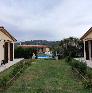 The Mansion Of Dionisos And Dimitras 7 Βίλα Linaria  Exterior photo