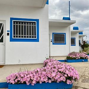 Elgreco Apartments At Tigaki Near The Sea 2 Κως Πόλη Exterior photo