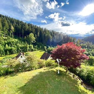 Ferienwohnung Zur Bierliebe - Mit Toller Aussicht Im Herzen Des Schwarzwaldes Hornberg Exterior photo