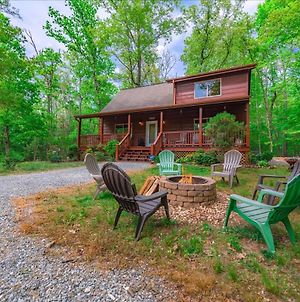 Cabin With Hot Tub, Screened Porch, Fire Pit, Wifi Βίλα Mineral Bluff Exterior photo