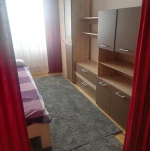 Apartament Central Διαμέρισμα Bistriţa Room photo