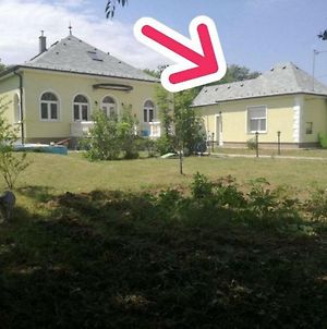 Small House In Green Area Βίλα Βουδαπέστη Exterior photo