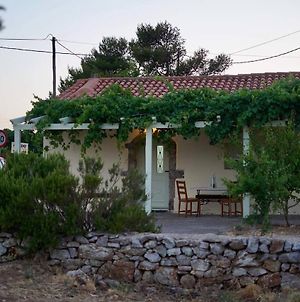 Elia Houses - Traditional House With Backyard Βίλα Kastrisianika Exterior photo