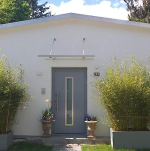 Gartenchalet Rotkehlchen Διαμέρισμα Bad Homburg vor der Höhe Exterior photo