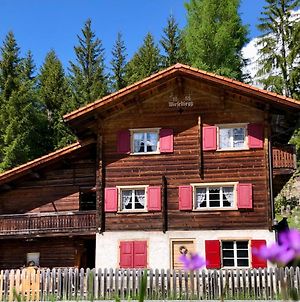 Sonniges Chalet Arosa Fur 6 Pers Alleinstehend Mit Traumhaftem Bergpanorama Βίλα Langwies Exterior photo