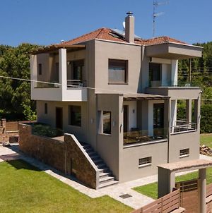 Villa Efmaria By Travelpro Services - Marmaras Halkidiki Νέος Μαρμαράς Exterior photo