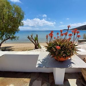 Styfilia Beachside Self Catering Apartment Platis Gialos (Sifnos) Exterior photo