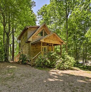 Cozy Whittier Cabin And Yard And Hot Tub, Pets Welcome Διαμέρισμα Exterior photo
