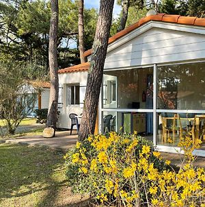 Amazing Home In L'Aiguillon-La-Presqu' With Wifi And 3 Bedrooms La Faute-sur-Mer Exterior photo