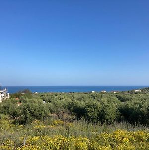 Villa Blue Cocoon - Chrani Messinia Peloponnese- Sea View 800 M From Beach Exterior photo