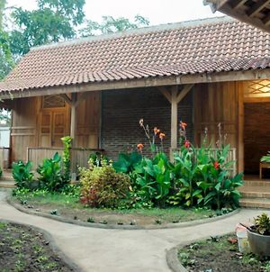 Pinarak Homestay Banyuwangi  Exterior photo