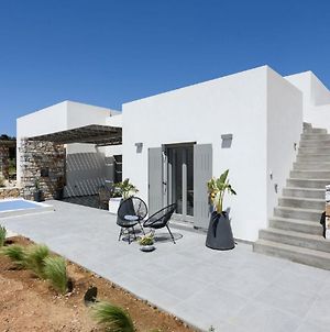 3Bedroom Cycladic Villa Malina With Pool In Paros Exterior photo