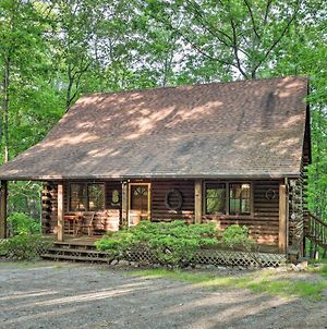 Serene Brevard Cabin About 7 Miles To State Forest! Βίλα Exterior photo