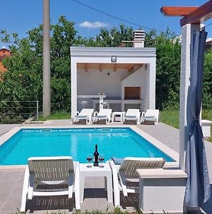 Villa Amoena With Pool And Sauna Near Novigrad Brtonigla Exterior photo