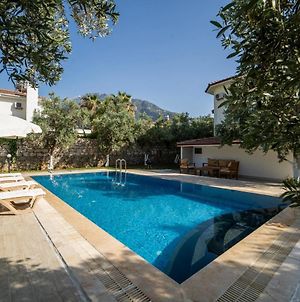 Magnificent Villa With Private Pool Amazing View And Backyard In Oludeniz Ovacık Exterior photo