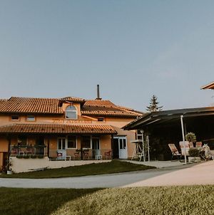 Vila Angelina Ξενοδοχείο Kušići Exterior photo
