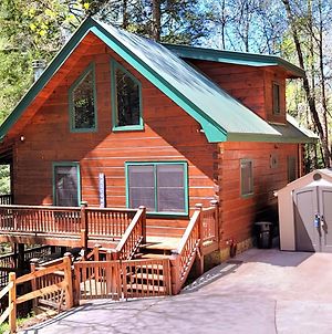 Luxury Cabin With Waterview And Privacy, Hiking Βίλα Blue Ridge Exterior photo