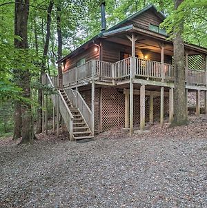 Tranquil Nw Georgia Cabin With Private Hot Tub Βίλα Sautee Nacoochee Exterior photo
