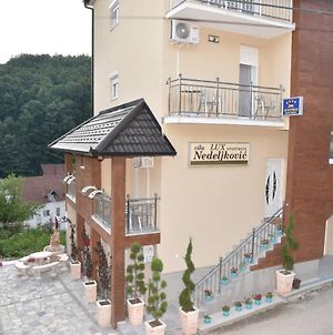Vila Lux Nedeljkovic Gornja Trepca Διαμέρισμα Τσάτσακ Exterior photo