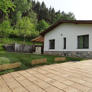 Villa Camino Sapareva Banya Exterior photo