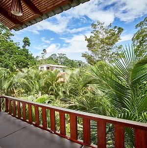 Villa Lu Amazon Lodge Tarapoto Exterior photo