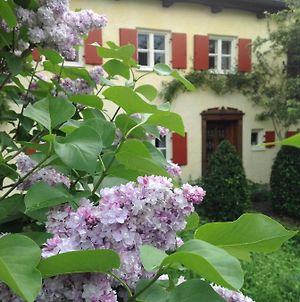 Haus Probst Am See Bed and Breakfast Schondorf am Ammersee Exterior photo